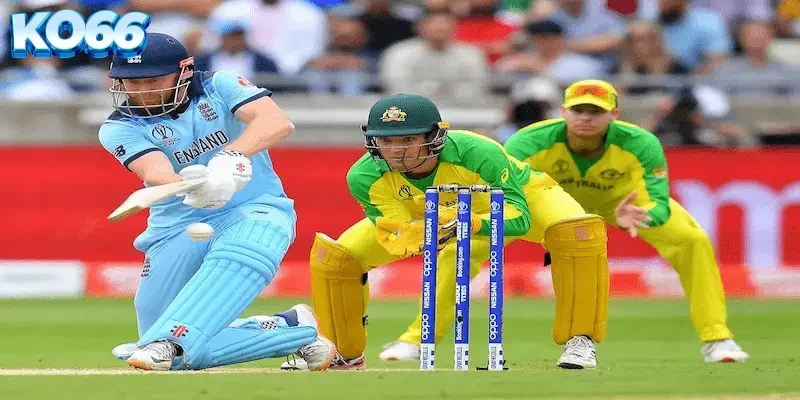 ca-cuoc-cricket-world-cup-ko66 Bảng thông số chi tiết và lịch sử đối đầu của các vận động viên cricket trước giờ thi đấu